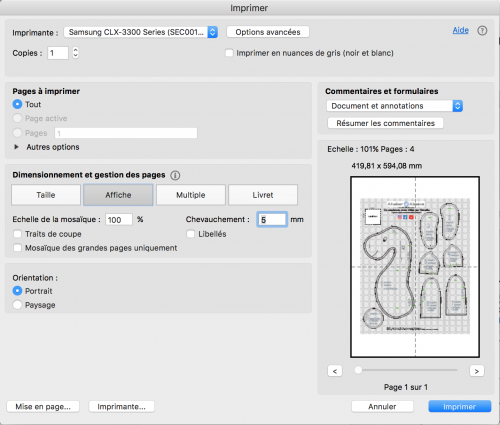 Capture d’écran ACROBAT