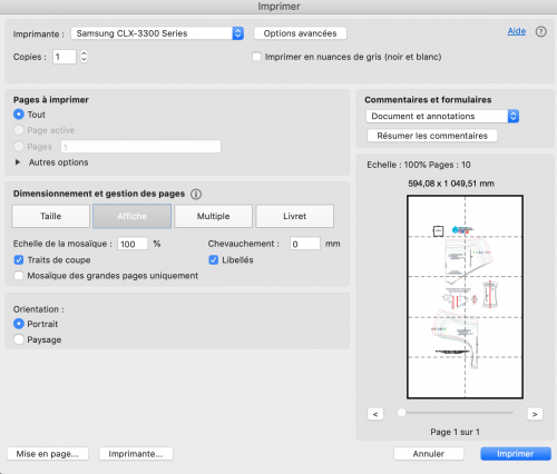 Capture d’écran impression